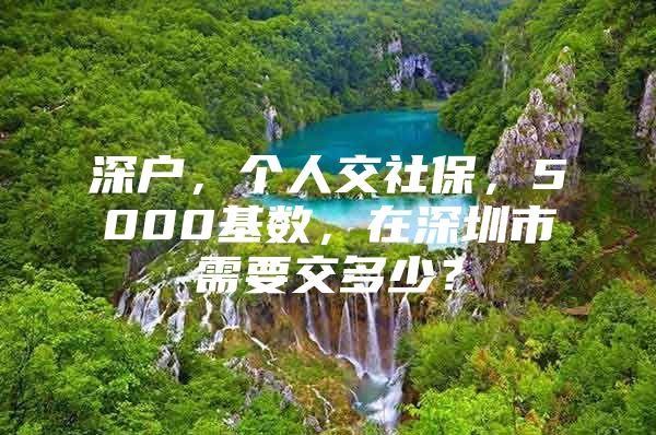 深戶，個人交社保，5000基數(shù)，在深圳市需要交多少？