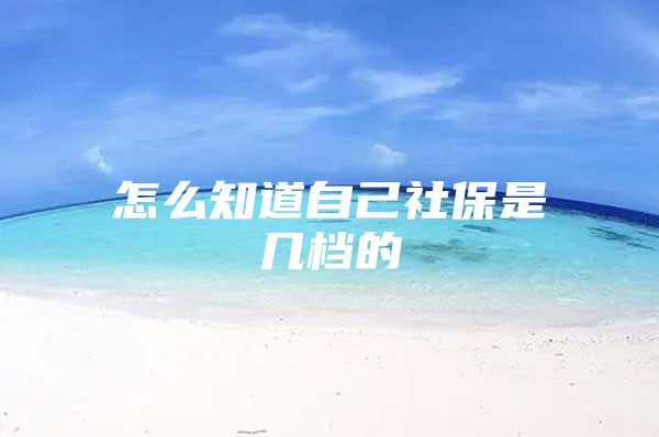 怎么知道自己社保是幾檔的