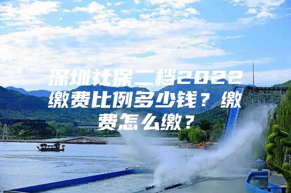 深圳社保二檔2022繳費比例多少錢？繳費怎么繳？