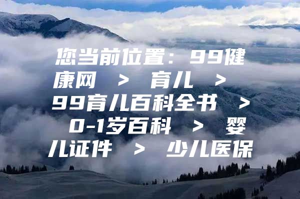 您當前位置：99健康網 ＞ 育兒 ＞ 99育兒百科全書 ＞ 0-1歲百科 ＞ 嬰兒證件 ＞ 少兒醫(yī)保