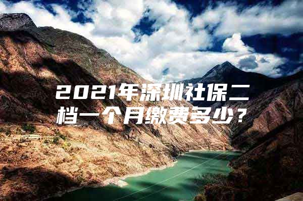 2021年深圳社保二檔一個月繳費多少？