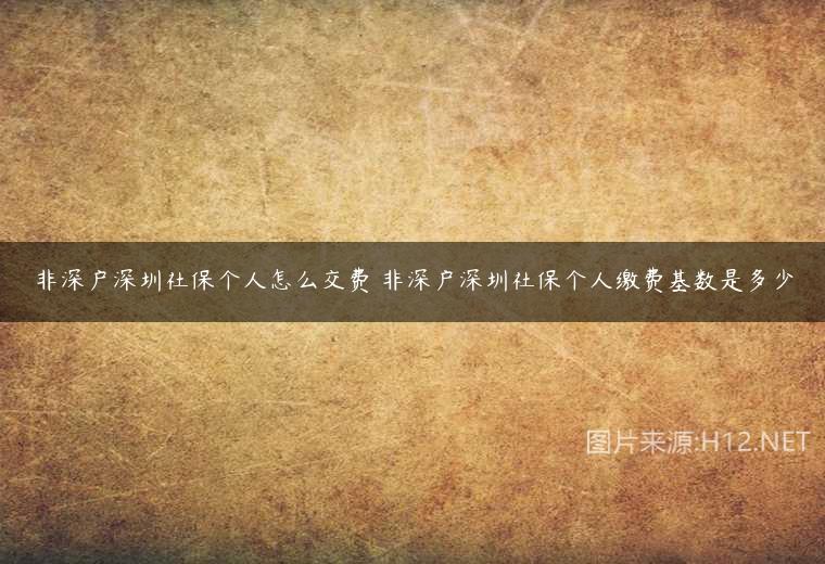 非深戶深圳社保個人怎么交費 非深戶深圳社保個人繳費基數(shù)是多少