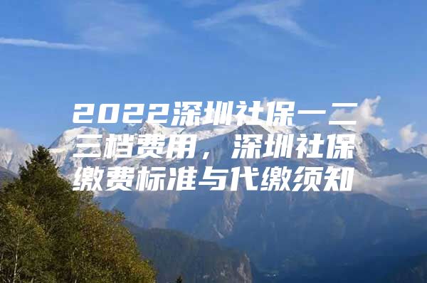 2022深圳社保一二三檔費用，深圳社保繳費標準與代繳須知