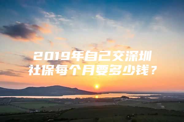 2019年自己交深圳社保每個(gè)月要多少錢(qián)？