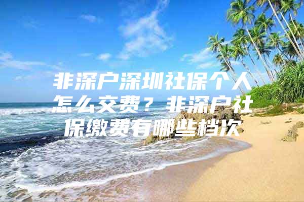 非深戶深圳社保個人怎么交費？非深戶社保繳費有哪些檔次