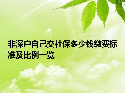 非深戶自己交社保多少錢繳費標(biāo)準(zhǔn)及比例一覽