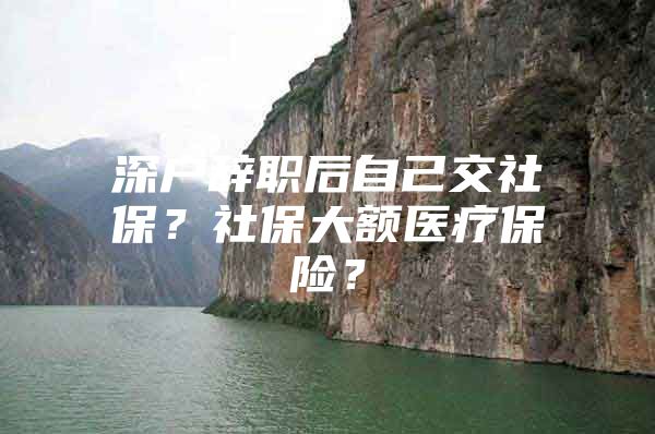 深戶辭職后自己交社保？社保大額醫(yī)療保險？