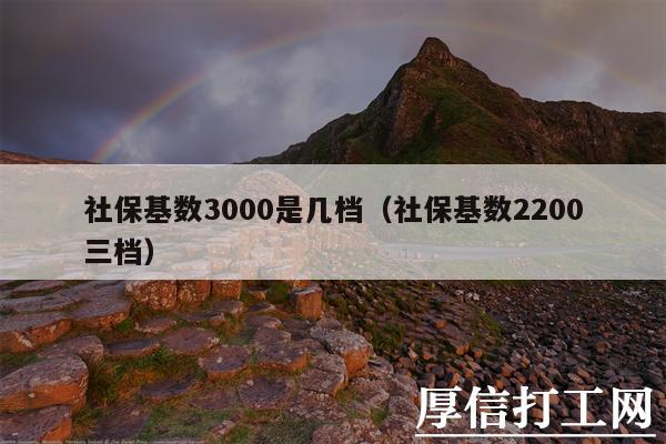 社?；鶖?shù)3000是幾檔（社保基數(shù)2200三檔）