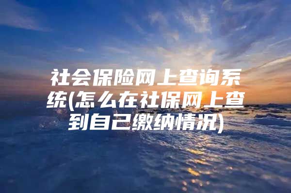 社會保險網(wǎng)上查詢系統(tǒng)(怎么在社保網(wǎng)上查到自己繳納情況)