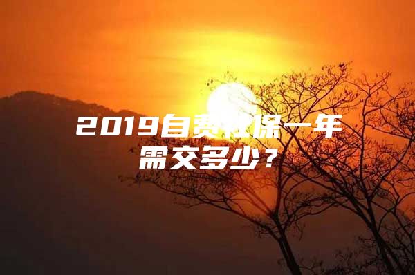 2019自費社保一年需交多少？