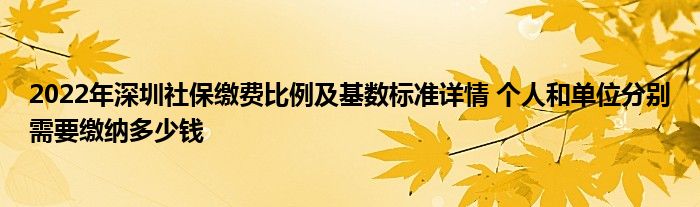 2022年深圳社保繳費比例及基數標準詳情 個人和單位分別需要繳納多少錢