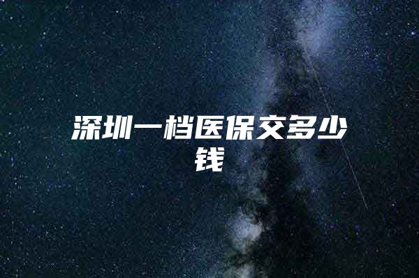 深圳一檔醫(yī)保交多少錢