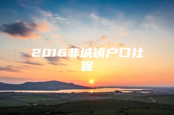 2016非城鎮(zhèn)戶口社保