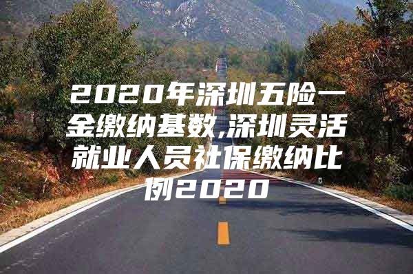 2020年深圳五險(xiǎn)一金繳納基數(shù),深圳靈活就業(yè)人員社保繳納比例2020