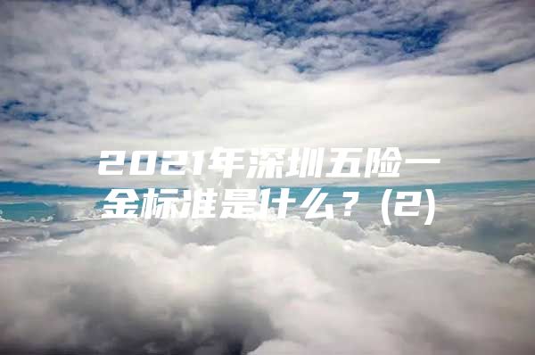 2021年深圳五險一金標準是什么？(2)