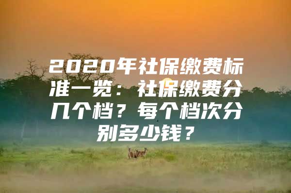 2020年社保繳費(fèi)標(biāo)準(zhǔn)一覽：社保繳費(fèi)分幾個檔？每個檔次分別多少錢？